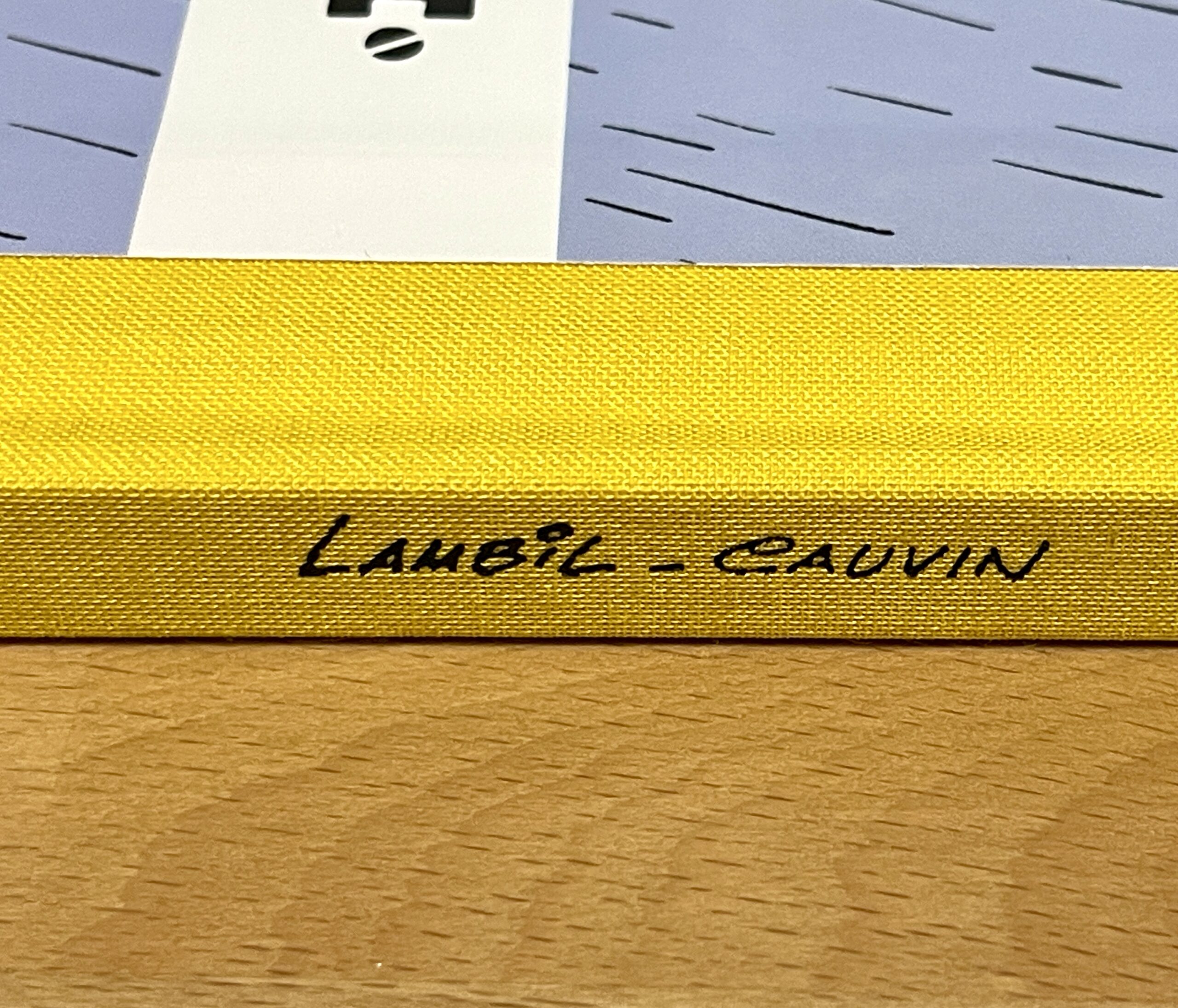 LES TUNIQUES BLEUES - LES BLEUES DANS LA GADOUE – Image 4